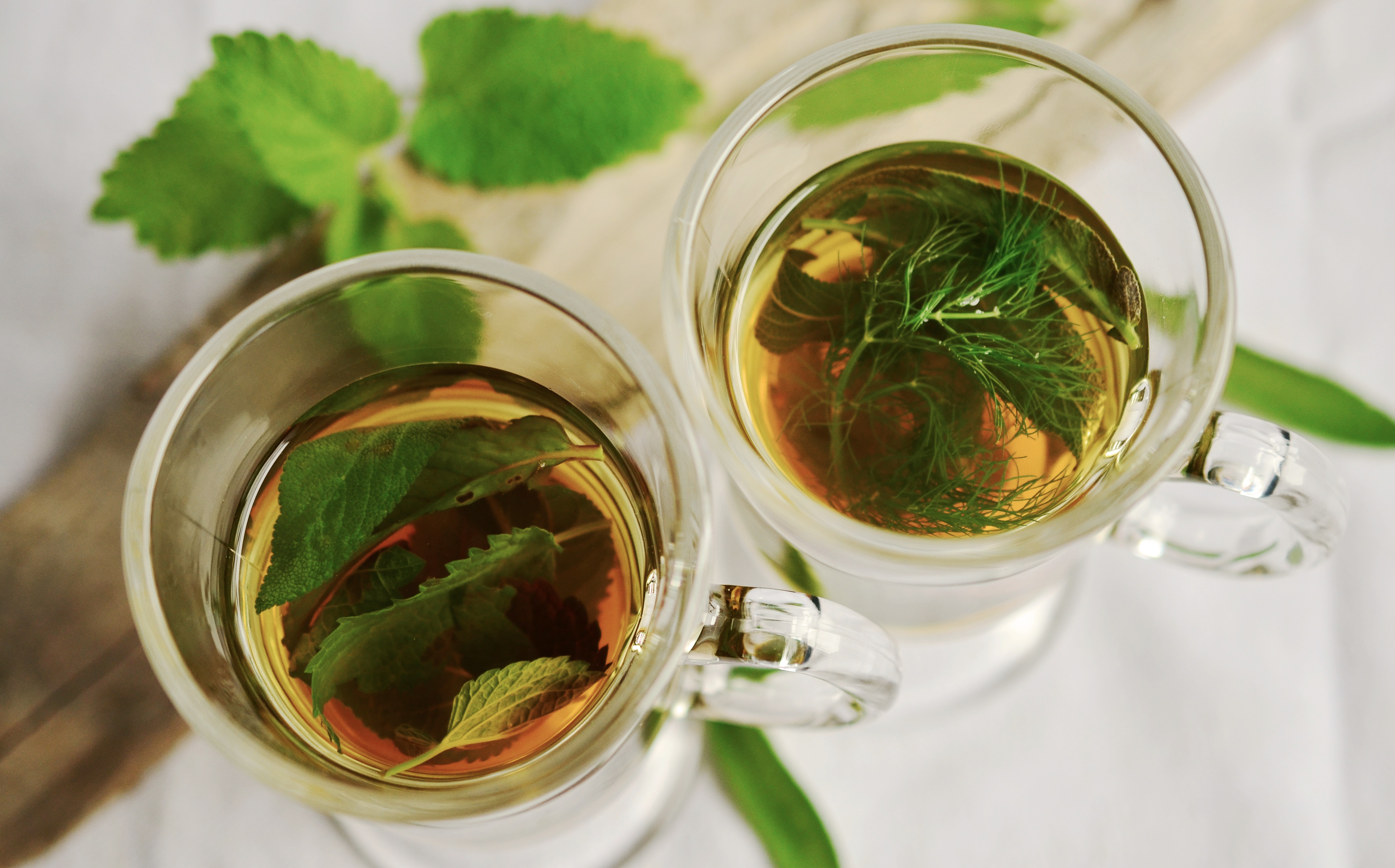 herbal tea herbs tee mint 159203 - Lets Redefine Lifestyle